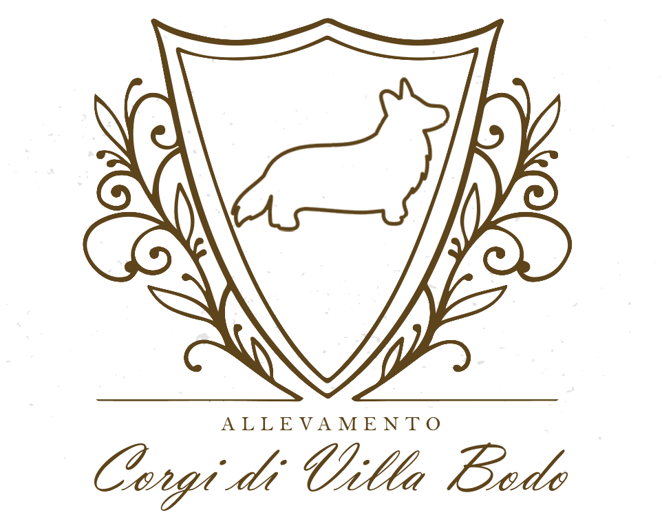 I corgi di Benedetta