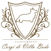 allevamento-corgi-di-villa-bodo-1